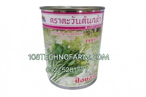 กวางตุ้งดอกป๊อบอาย 100g